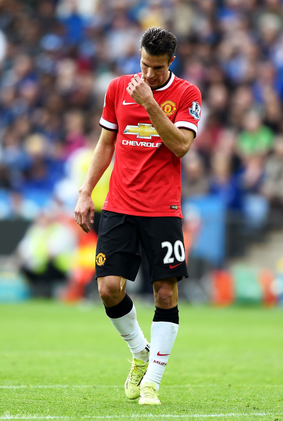 麦克阿瑟vs珀斯光荣首发：库查尔斯基领衔！卡塞雷斯、伍顿在列